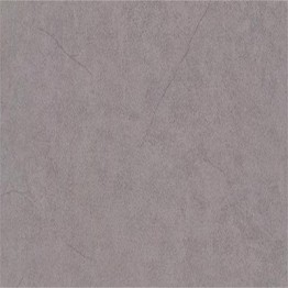 Gạch lát sàn Trường Thịnh COOLSTONE C6215